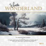 Second Records Various - Winter Wonderland - 14 Christmastime Classics (Red Marble)