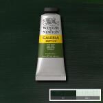 Winsor & Newton Galeria akrilfesték, 60 ml - 447, olive green