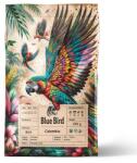 Blue Bird Roastery Colombia szemes kávé 200 g