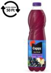 Cappy Üdítőital szénsavmentes CAPPY Ice Fruit Erdei gyümölcs 12% 1, 5L DRS (498643)