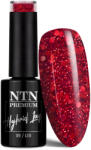 NTN Premium UV/LED 206#