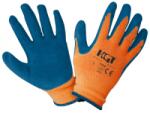 Evotools Manusi Latex Tricotate Albastre / 11
