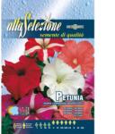 Alta Selezione Plic seminte ALTA SELEZIONE Petunie Pitica compacta multicolor (ASF342-2)