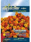 Alta Selezione Plic seminteALTA SELEZIONE Craite pitice cu flori duble (ASF353-3)