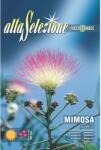 Alta Selezione Plic seminte ALTA SELEZIONE Mimoza (ASF336-50)