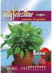 Alta Selezione Plic seminte ALTA SELEZIONE Salvie (ASA119-1)