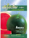 Alta Selezione Plic seminte ALTA SELEZIONE Pepene verde Sugar Baby (ASO3-10)