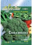 Alta Selezione Plic seminte ALTA SELEZIONE Broccoli Ramoso Calabrese (ASO25-23)