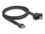 Delock USB 10 Gbps szalagkábelhez E-típusú A kulcsos 20 tűs apa csatlakozó - USB Type-C anya rögzíthető csatlakozó, kábelhossz 75 cm (85760) - aqua