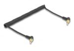 Delock Tekercselt kábel 3, 5 mm 3 tűs sztereo jack apa sztereo jack apa hajlított csavaros adapterrel 6, 35 mm-hez. 75 cm (85777) (85777)