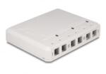 Delock Keystone felületre szerelt doboz 6 porttal fehér (67052) (67052)