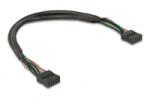 Delock Kábel USB 2.0-s csatlakozóhüvellyel, 2, 54 mm, 10 tű - USB 2.0-s csatlakozóhüvellyel, 2, 54 mm, 10 tű, 25 cm (82029)