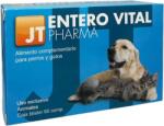JT Entero Vital tablete câini, pisici elimină diareea 60 buc