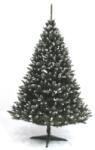 KORLEAND LUCFENYŐ FEHÉRBERKENYÉVEL - 220 cm - korleand