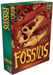 Kids Table BG Fossilis (angol) társasjáték