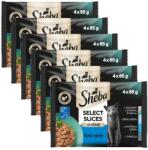 Sheba Sheba Select Slices Pliculețe cu selecție de pește în sos 6 x (4 x 85 g)