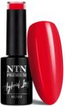 NTN Premium UV/LED 42# (HEMA Free)
