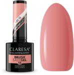 Claresa Easy Brush Gel 13 -5g