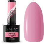Claresa Easy Brush Gel 12 -5g