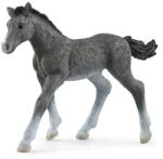 Schleich Animal - mânz Trakehner (102613944) Figurina