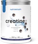 Nutriversum Creatine+ Sugar Free (300 Gr) Blackcurrant