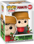 Funko POP! Television #1627 Peanuts Charlie Brown with Tree