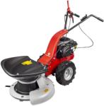 Eurosystems RS210 B&S 675 EXI (965172000)