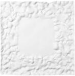 Sumisura farfurie Mat 23 x 23 cm 99KK-KBU6YK_00X (MAT.08.S)