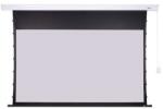 Compatible Tablou de perete AVELI PREMIUM, metal, 221x124 (16: 9) 100" XRT-00287