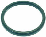  Garnitura Grup Pavoni - 60x50x5.5mm