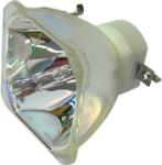 Hitachi DT01091 (CPD10LAMP) lampă compatibilă fără modul (DT01091)