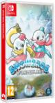 Clear River Games Snow Bros. Wonderland (Switch)