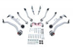 Fag Set reparatie brate puntea fata FAG pentru AUDI A4 B5, A4 B6, A6 C5; SKODA SUPERB I; VW PASSAT B5, PASSAT B5.5 1.6-4.0 11.94-03.08 (823003630)