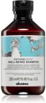 Davines Naturaltech Well-Being Shampoo sampon minden hajtípusra 250 ml
