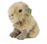 Rappa Capybara de pluș 18 cm ECO-FRIENDLY (RP221734)