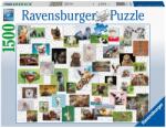 Ravensburger Colaj cu animale 1500 (RVSPA16711) Puzzle