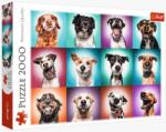 Trefl Caini haiosi 2000 (27119) Puzzle