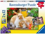 Ravensburger Porcusor de guinea si iepuras 2x12 (RVSPC05144) Puzzle