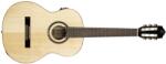 Ortega Guitars RE158RWSN