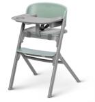 KinderKraft Scaun de masa Kinderkraft KHLIVY00PNK0000, Verde/Gri Scaun de masa bebelusi, inaltator