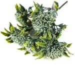  Sedum csokor fehér 2db/csomag