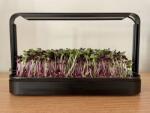 URBAN MicroGrow microgreens termesztő szett 16W