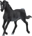 Schleich Horse Club Arabian Stallion, toy figure (13981) - pcone Figurina