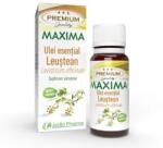 Justin Pharma Ulei esential Leustean Maxima, uz intern, 10 ml, Justin Pharma