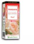 Justin Pharma Ulei esential trandafir de Damasc Luxurious, 10 ml, Justin Pharma