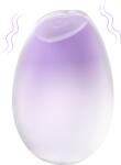 SESSO Vibrator Ice Egg Purple Vibrator