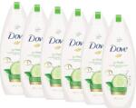 Dove Go Fresh Cucumber & Green Tea, gel de dus hidratant, 6 x 250 ml (12097)