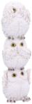 Nemesis Now Statuetă Nemesis Now Adult: Humor - Wisest Totem, 20 cm (U4771P9) Figurina