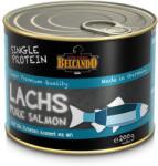 BELCANDO conservă cu somon (Single Protein) (12 x 200 g) 2400 g
