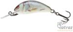 Salmo Floating Hornet H3F RD - Real Dace Salmo Wobbler (QHT016)